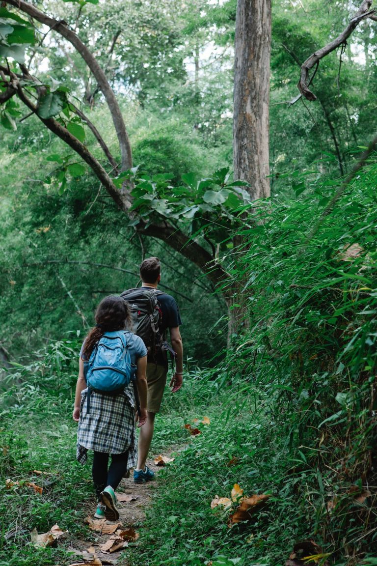 Cặp đôi đi bộ đường dài trong rừng