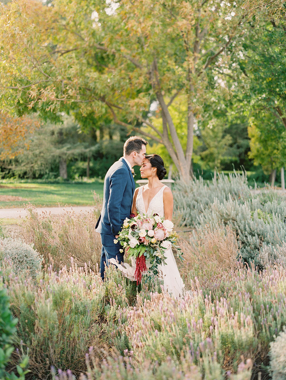 Chân dung cặp đôi cánh đồng hoa oải hương tại Park Winters cho một đám cưới bằng lò vi sóng ở Bắc California