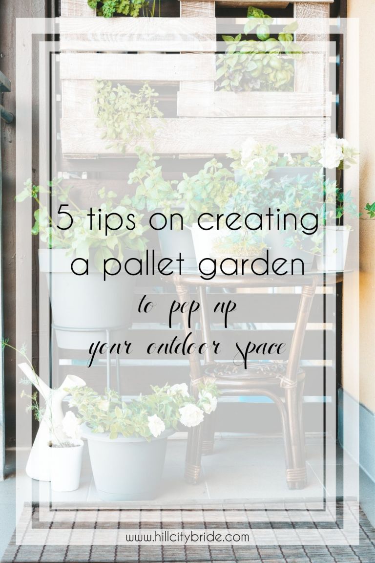 Cách sử dụng Pallet để làm vườn tại nhà