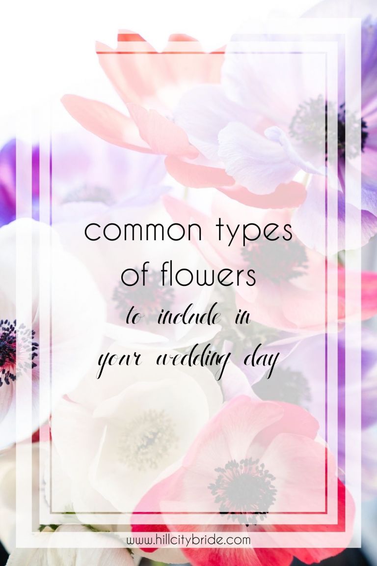 8 loại hoa phổ biến nhất cho ngày trọng đại tuyệt đẹp