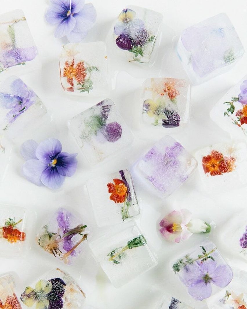 How to Stay Hydrated at Your Wedding Floral Ice Cubes 2 - 14 cách để giữ cho khách mời mát mẻ trong đám cưới mùa hè của bạn