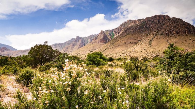 Công viên Quốc gia Dãy núi Guadalupe Ít được viếng thăm nhất ở Hoa Kỳ