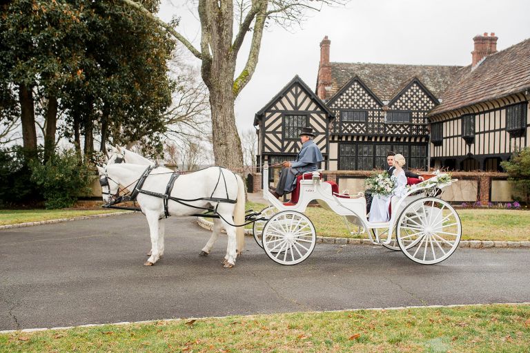 Bridgerton Wedding Horse and Carriage