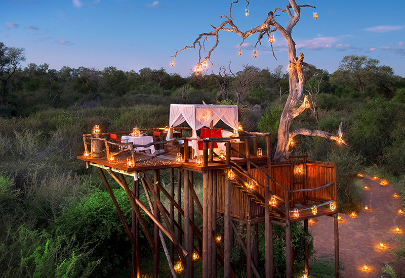 Safari Honeymoon Destinations Sabi Sands South Africa Bridal Musings - Mẹo Lập kế hoạch & Cảm hứng Đám cưới Tốt nhất từ ​​khắp Châu Phi